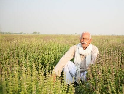 farmer in farm organic india